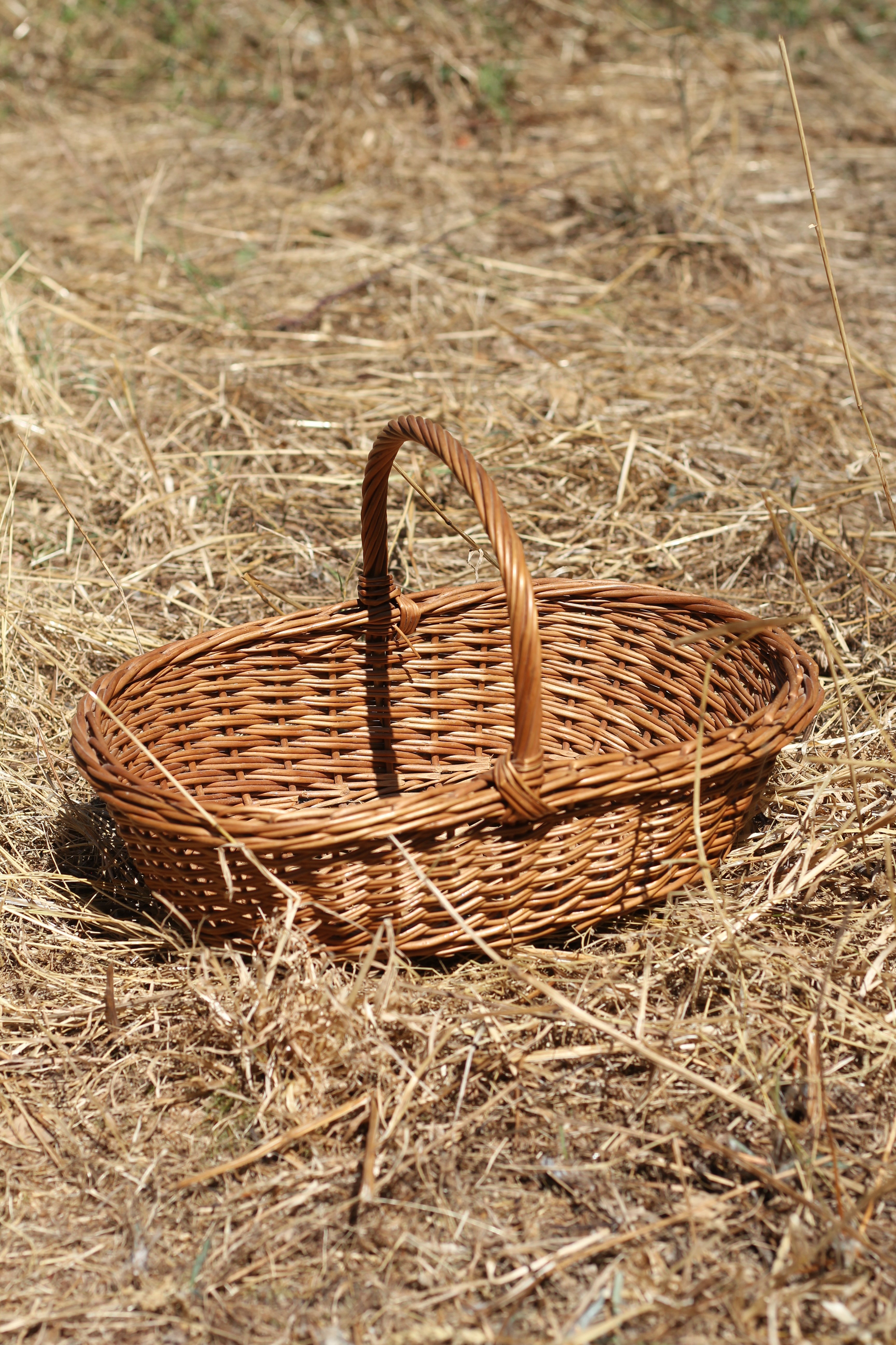 Cesta Elizabeth